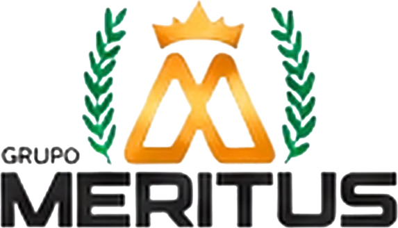 Logo meritus